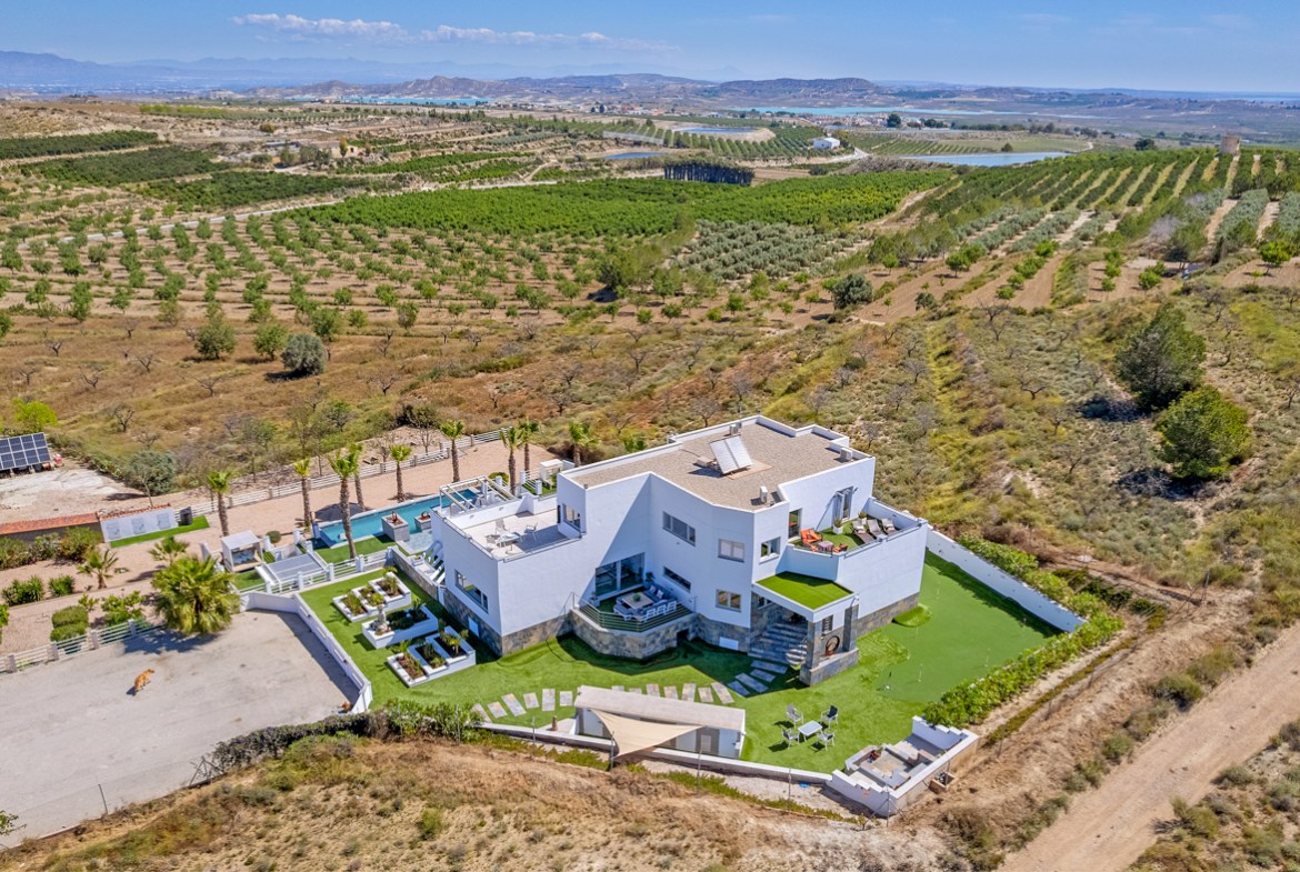Torremendo