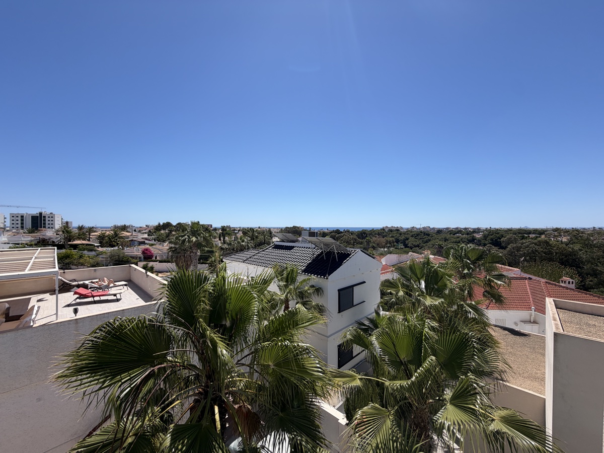 Mil Palmeras
