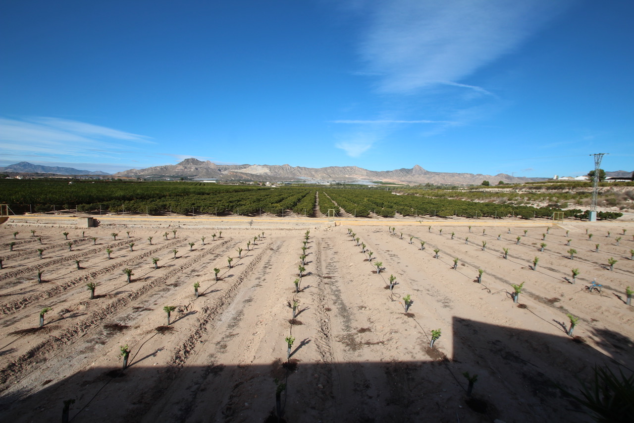 Costa Blanca Sur