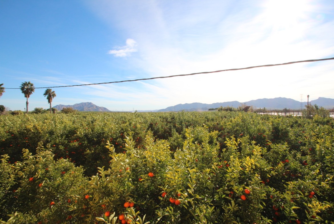 Costa Blanca Sur