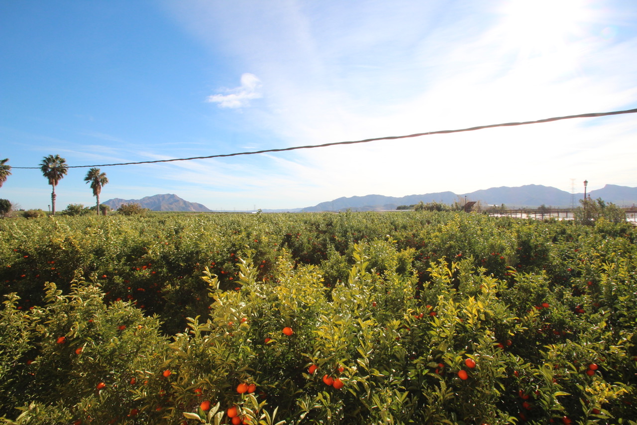 Costa Blanca Sur