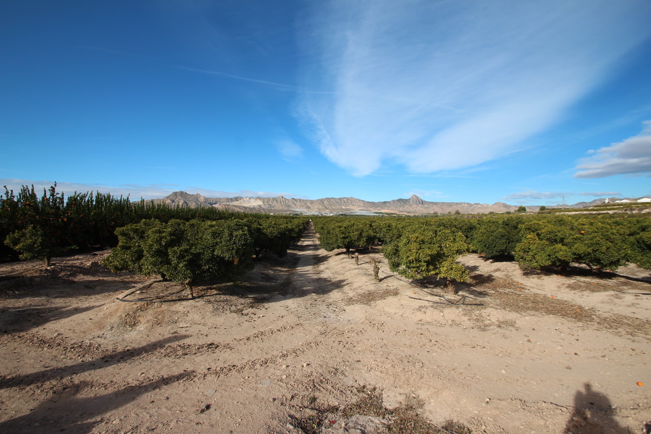 Costa Blanca Sur