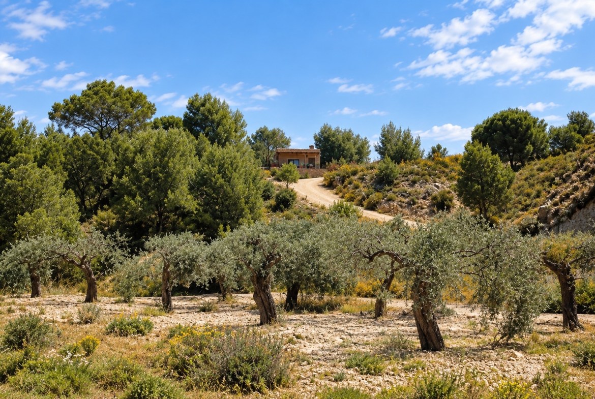 Costa Blanca Sur