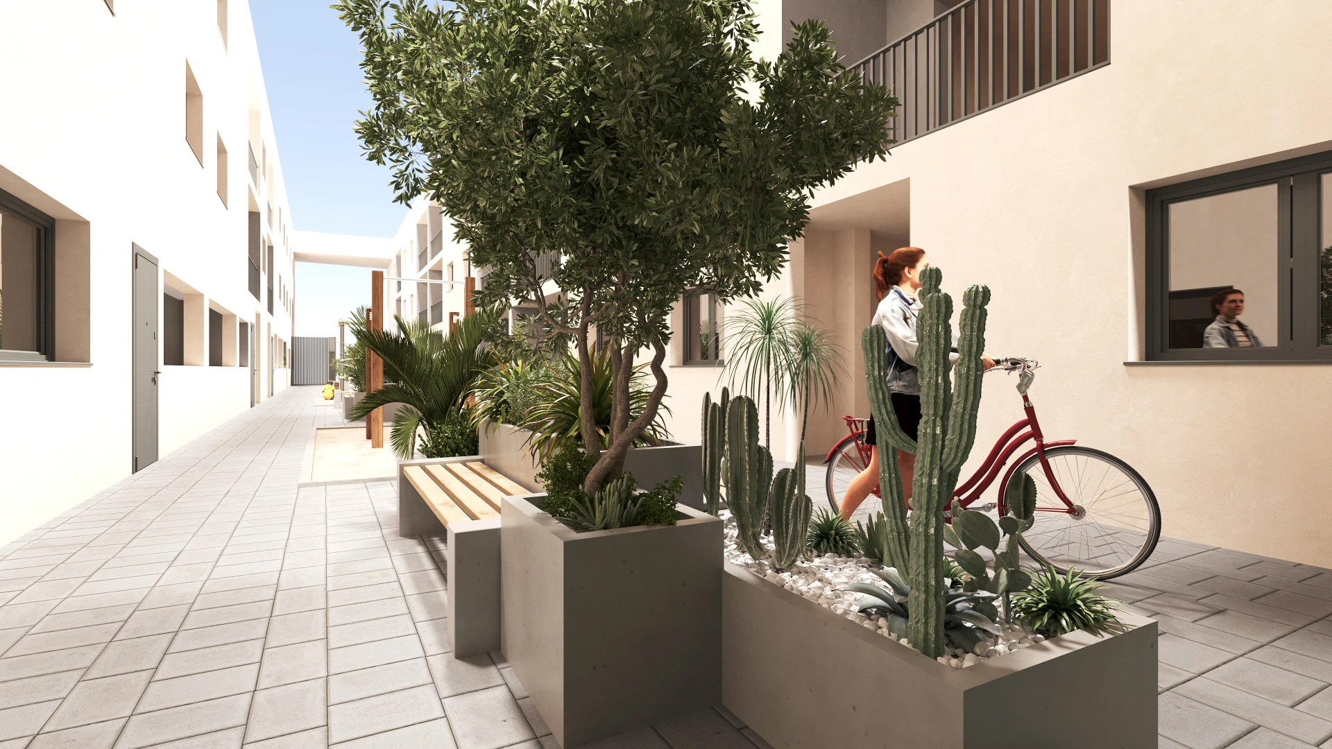 Last Apartment San Miguel De Salinas