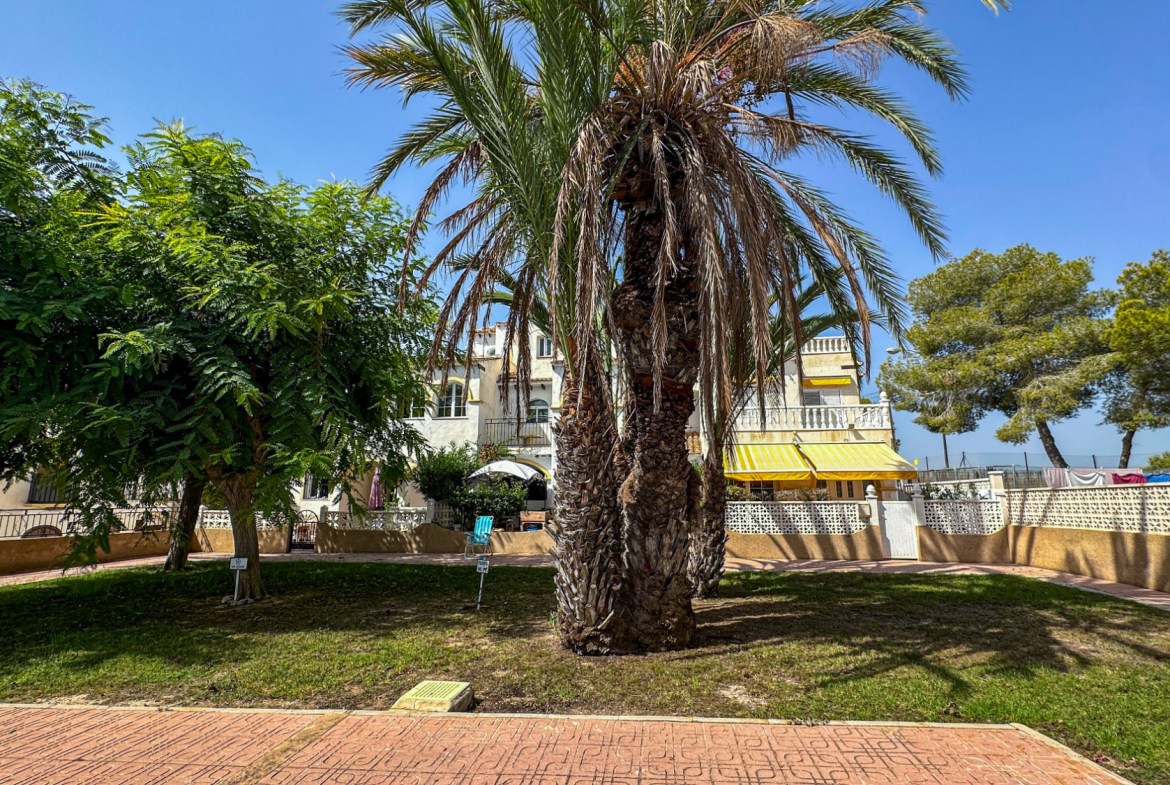 Bellavista
