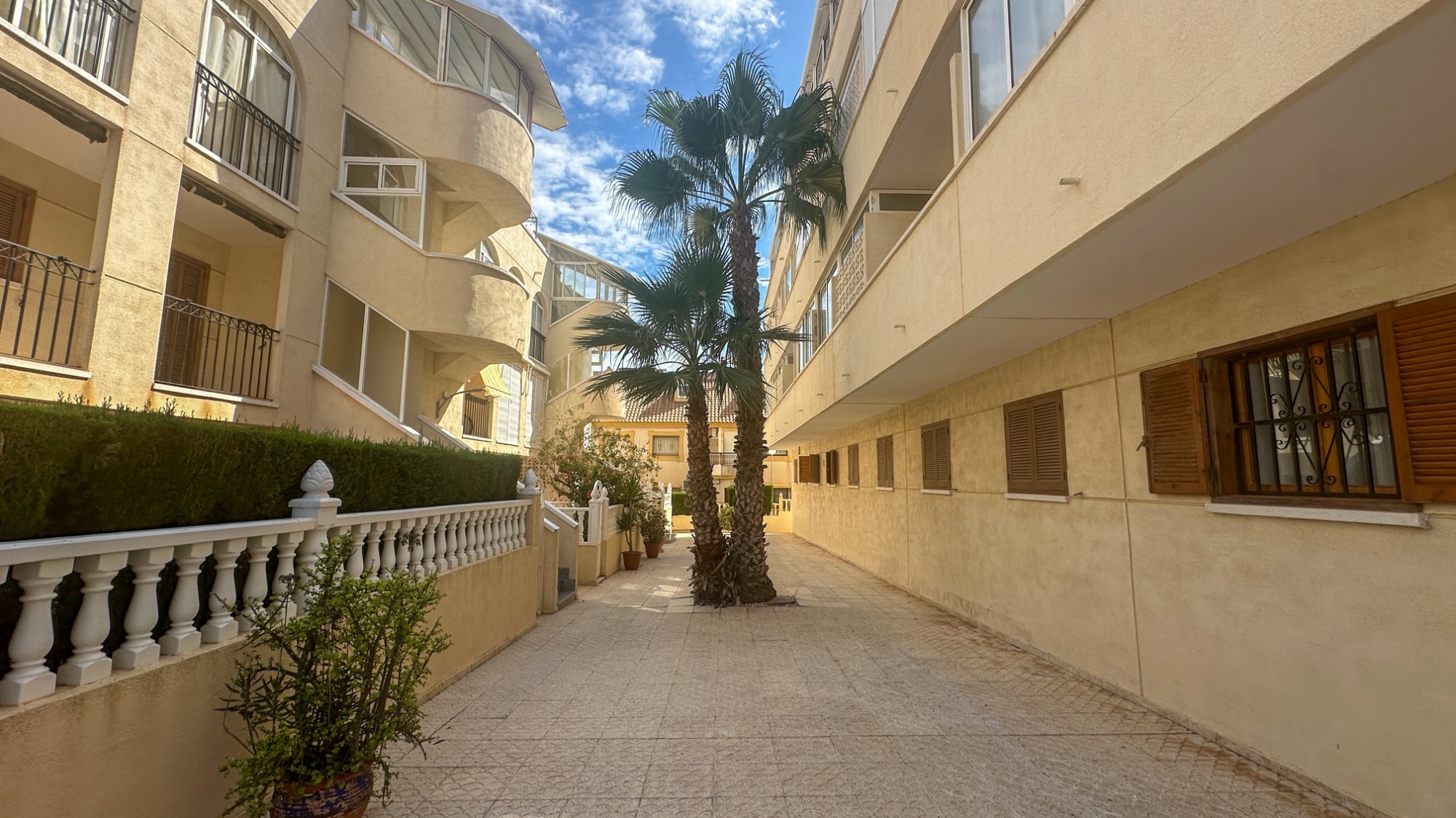La Zenia
